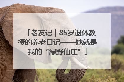 老友记｜85岁退休教授的养老日记——她就是我的“绿野仙庄”